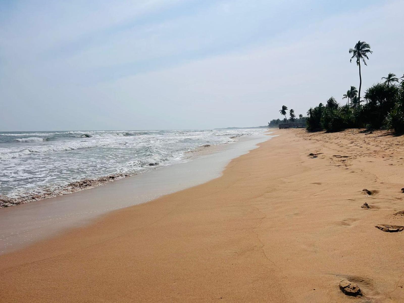 Blu Marine Nilaveli Hotell Trincomalee Exteriör bild